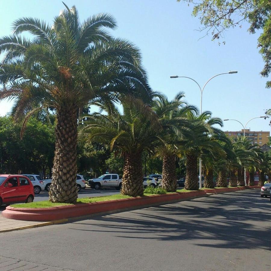 Casa Dos Leones Hotel Santiago Kültér fotó